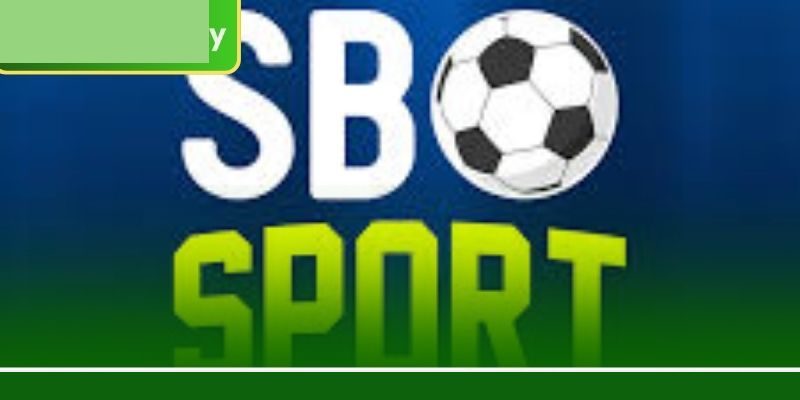 এসবিও স্পোর্ট: 7000BET-এ প্রতিদিন ১০০+ লাভজনক বেটিং মার্কেট